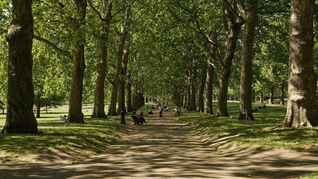 Green Park